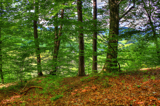682866 (a): :1920x1280